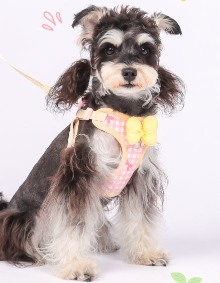 New style pet leash with bow, checkered pattern, Korean style, specially designed for small dogs, explosion-proof.