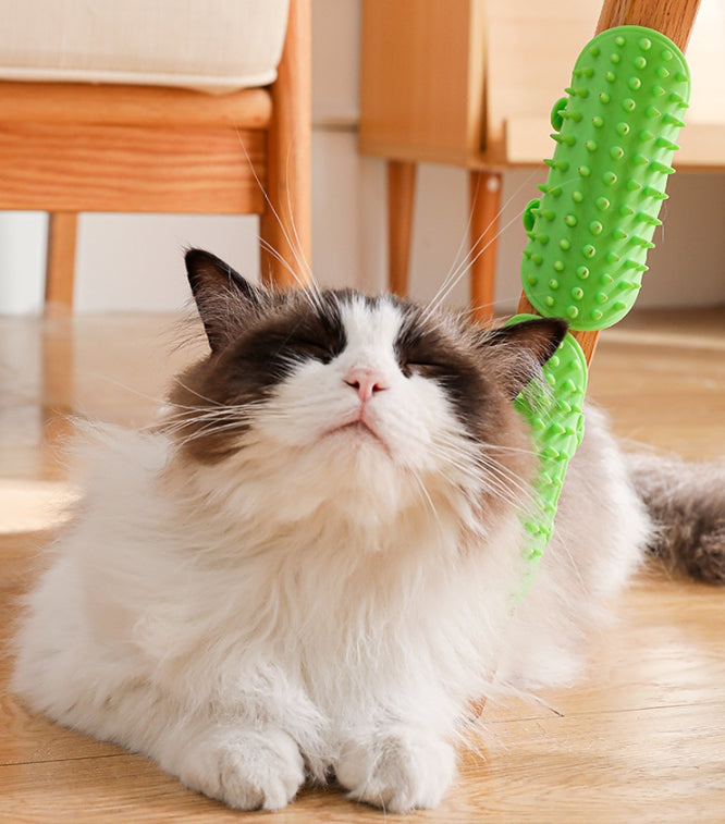 Pet scratching board, bath brush, cat petting brush, table corner tie brush, high elasticity, suitable for cats and dogs all year round, a bathing essential