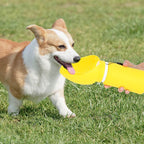 Pet supplies dog travel water cup, outdoor portable travel foldable water bottle, dog drinking fountain