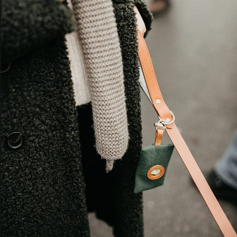 Hanging Waist Portable Dog Poop Bag