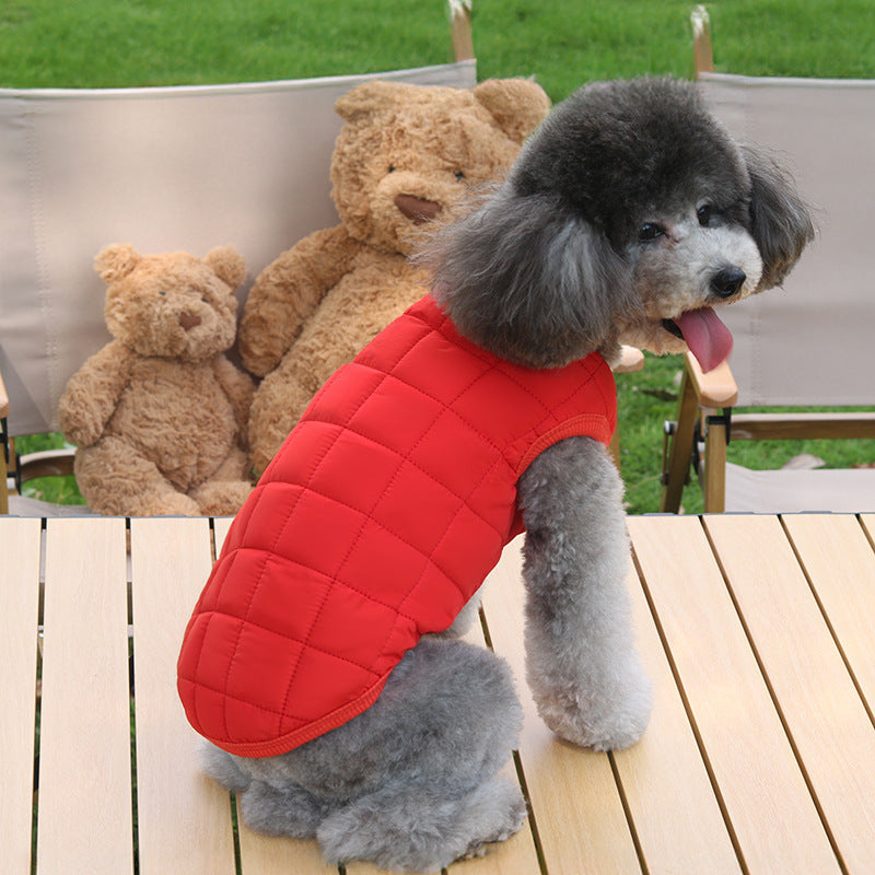 Simple pet clothes for dogs and cats, cotton-padded coats for Teddy, small dogs, and Maltese, autumn and winter styles.